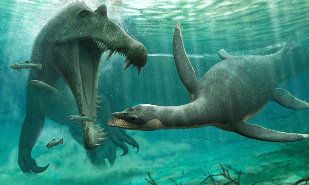 Monstro do Lago Ness pode ser um plesiossauro